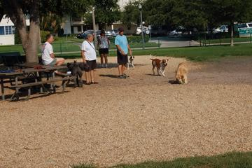 Dog Park at North Shore Park photo 2